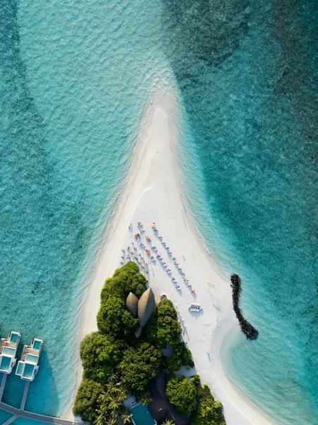 Parasols set up along a bright sandbar for a gathering