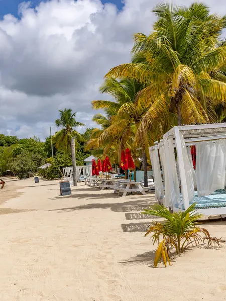 Canopied daybeds and loungers set out on the sand under palms