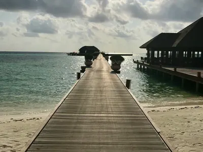 A weathered timber boardwalk running low over calm water