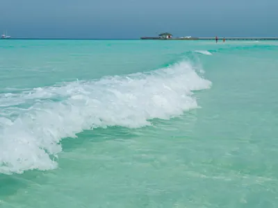 A small wave curling over in clear green water close to shore