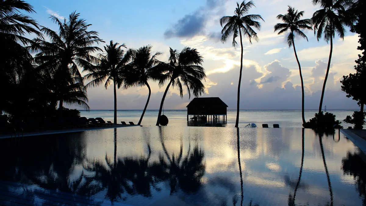 Palm silhouettes against a pale dusk sky reflected in still water