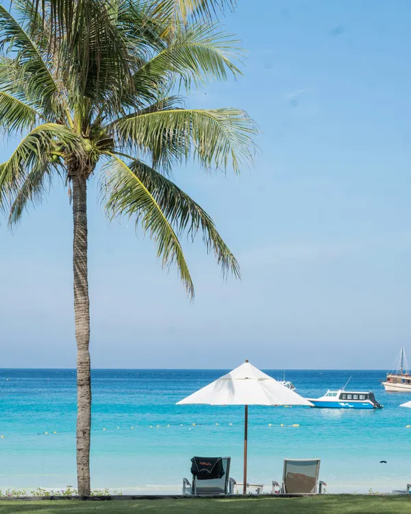 A palm leaning over white sand, with a beach umbrella and boats offshore